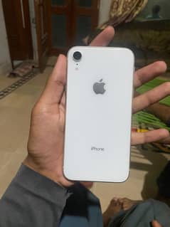 iPhone XR
