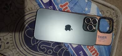 13 pro max