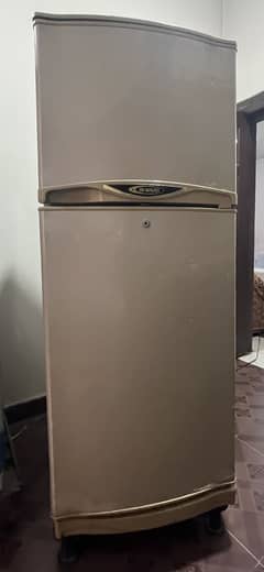 FRIDGE