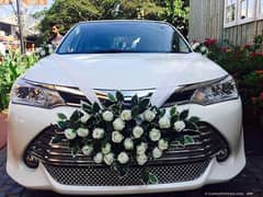 Rent A Car/Car Rental/BRV/Coaster/GLI/Civic/Hiace/Alto/Audi/Prado Tx