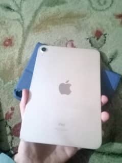 i paid mini 6