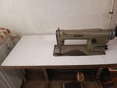 ddl555