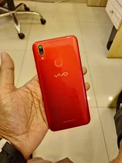 vivo