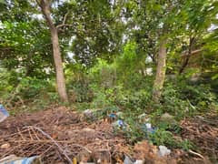 A 666 Square Yards Residential Plot Is Up For Grabs In F-7