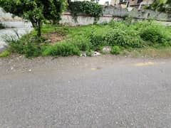 This Is Your Chance To Buy Residential Plot In F-8 F-8