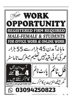 Online Work Available For Male's Females And Students