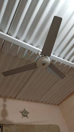 Ceiling Fans03222564277