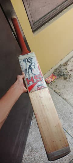 HS pure English willow hard ball cricket bat