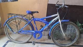 Biycle for Teens & Adults