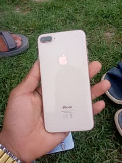 03089141599