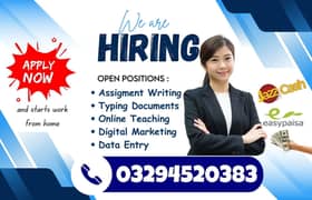 Typing job / Data Entry Job / Assignment Job / Online Job / Part Time