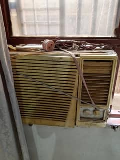window