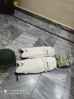 cricket