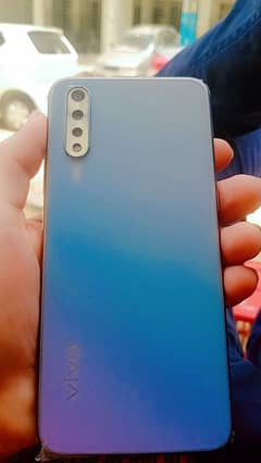 vivo