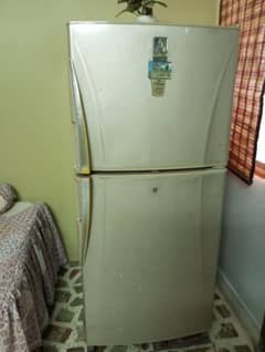 Jumbo Size Fridge for sale