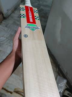 Hard Ball bat | Pure kashmir Willow | @graynics bat+cover