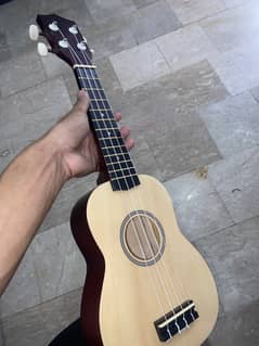 Brand new professional ukelele for sale