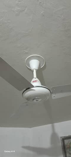 fan for sale brand new
