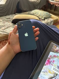 iphone 12 mini fu