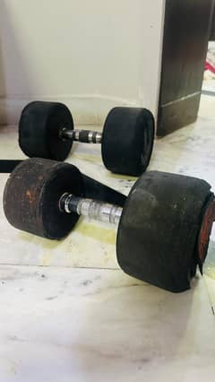 Dumbells 17.5 + 17.5
