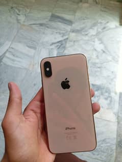 iPhone X's pta approved