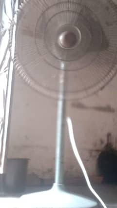 fan for sale caporwand all ok