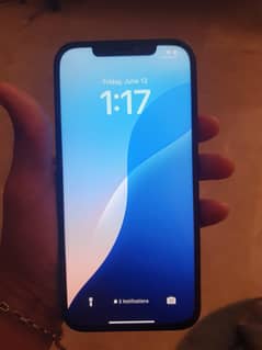 12pro