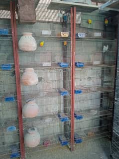 5 portion cage size 2 by 2.5 completed Accessories  7 cage available