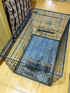 Birds cage