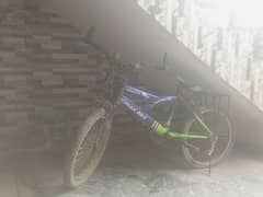 Cycle