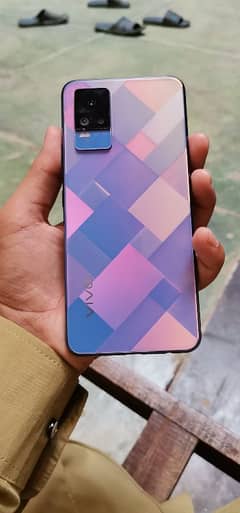 vivo