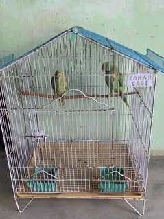 Pair hn masshallah healthy hn pinkra bi Sath h