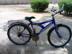 Cycle