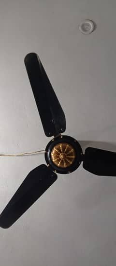 03177230577