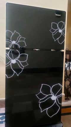 Orient Small Size Fridge – Perfect Condition | Energy Efficient