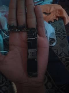 iphone 6