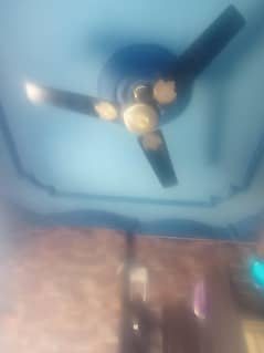 fen for sale new he ghr shift Kar Raha ho us lye sale Kar Raha h