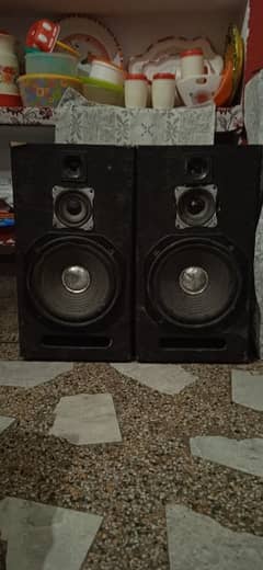10 inches speaker
