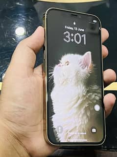 iPhone 12 Pro 128GB