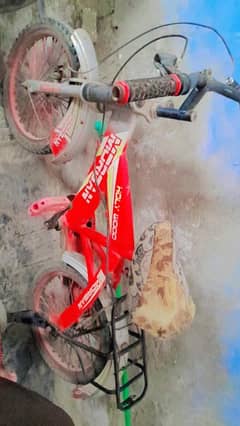 baby cycle
