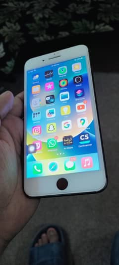 iphone 8 plus
