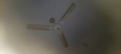 ceiling