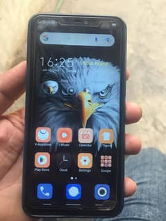 vivo