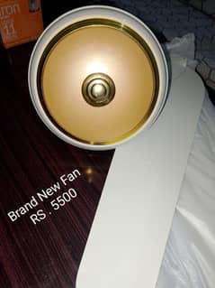 New
