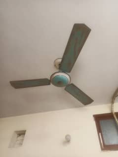 Celling fan for sale