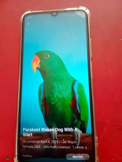 oppo A38