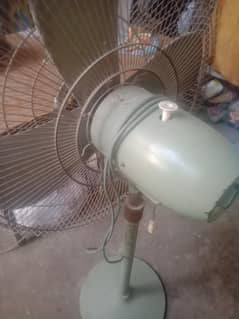 fan