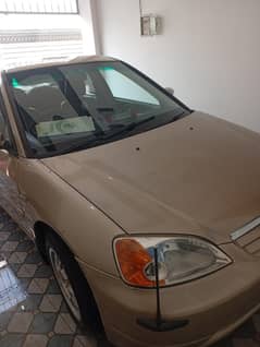 car lover