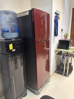 Hair Refrigerator Medium Size 2021 Model HRF-276 EBR