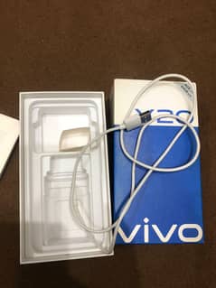 vivo